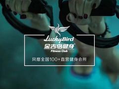 -金吉鸟健身游泳