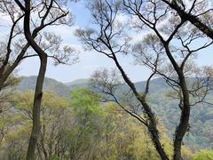 -南京老山国家森林公园