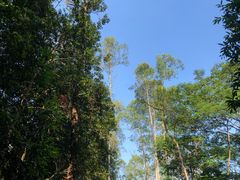 -滴水岩森林公园