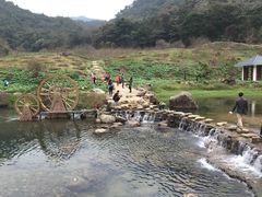 -广州市石门国家森林公园