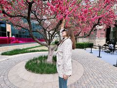 -俏江南天津时尚曲艺主题餐厅(马场道店)