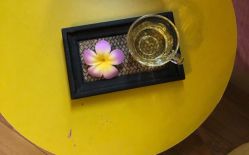 -菲秀家科技美颜SPA生活馆