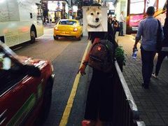-兰桂坊