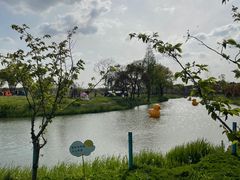 -嘉北郊野公园