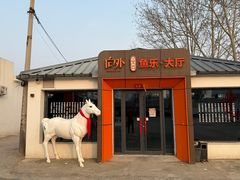 -向外鱼乐·土菜·虹鳟鱼