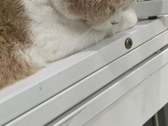 -萌兽医馆·眼科·异宠专科(三里屯店)