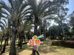 -情侣路