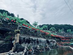 -枇杷园食为鲜火锅(南山店)
