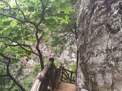-苍山世界地质公园·石门关大峡谷