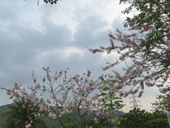 -白石龙音乐公园