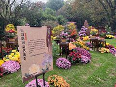 -杭州植物园