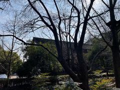 -八卦田遗址公园