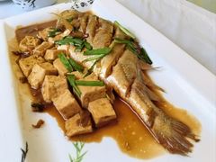 -宾朋海鲜饭庄(兴海路店)