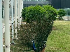 -兰陵国家农业公园