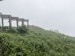 -白草畔自然风景区