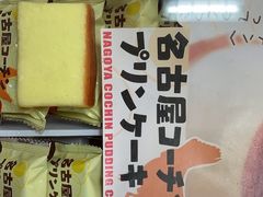 -中部国际机场