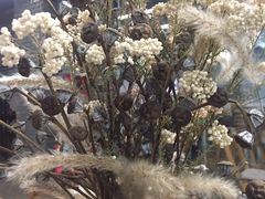 -扫雪煮茶(西村店)