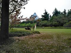 -上海市龙华烈士陵园