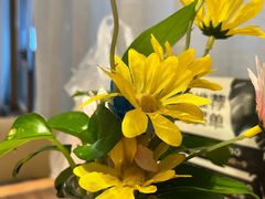 -云海肴·汽锅鸡·云南菜(浦江欢乐颂店)