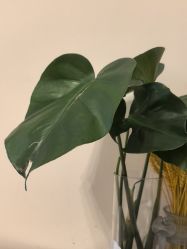 -S&G Beauty轻奢皮肤管理中心
