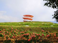 -光明小镇欢乐田园