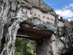 -莫里热带雨林景区