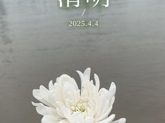 -武昌江滩