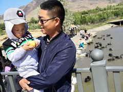 -新疆天山野生动物园