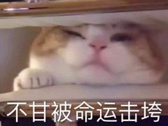 -皆道拌麻辣烫·麻辣拌