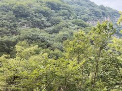 -遇见小院—虹鳟鱼•农家菜(怀柔店)