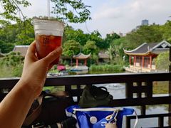 -顺峰山公园