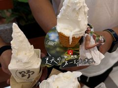 -野人先生Gelato(上海长宁龙之梦店)