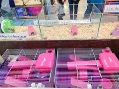 -乐宠宠物店(世纪金源店)