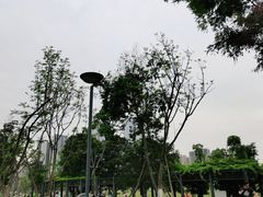-桂溪生态公园