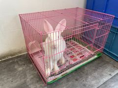 -岳合轩老北京涮肉