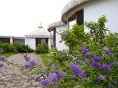 -坝上草原大汗行宫旅游景区