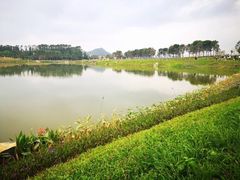 -光明小镇欢乐田园