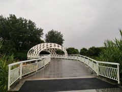 -同里国家湿地公园