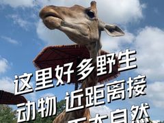 -济南野生动物世界