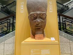 -上海博物馆(人民广场馆)