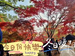 -秋霞圃
