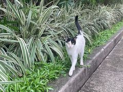 -南越王博物院(王宫展区)