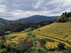 -南靖田螺坑土楼群景区