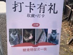 -正阳书局(西四南大街店)