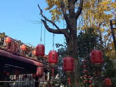 -国生茶庄·地道农家菜团建活动