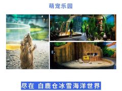 -白鹿仓冰雪海洋世界