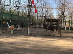 -草根堂农场