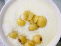 莲子双皮奶-义顺牛奶公司(庇利金街店)