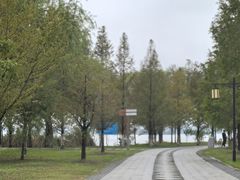 -南湖国家城市湿地公园