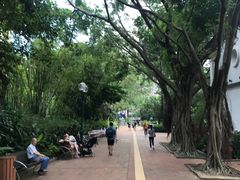 -九龙公园